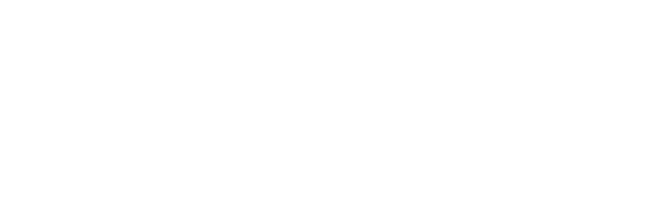 SK Nadi Digital logo